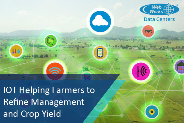 IoT Helping Farmers to Refine Management and Crop Yield