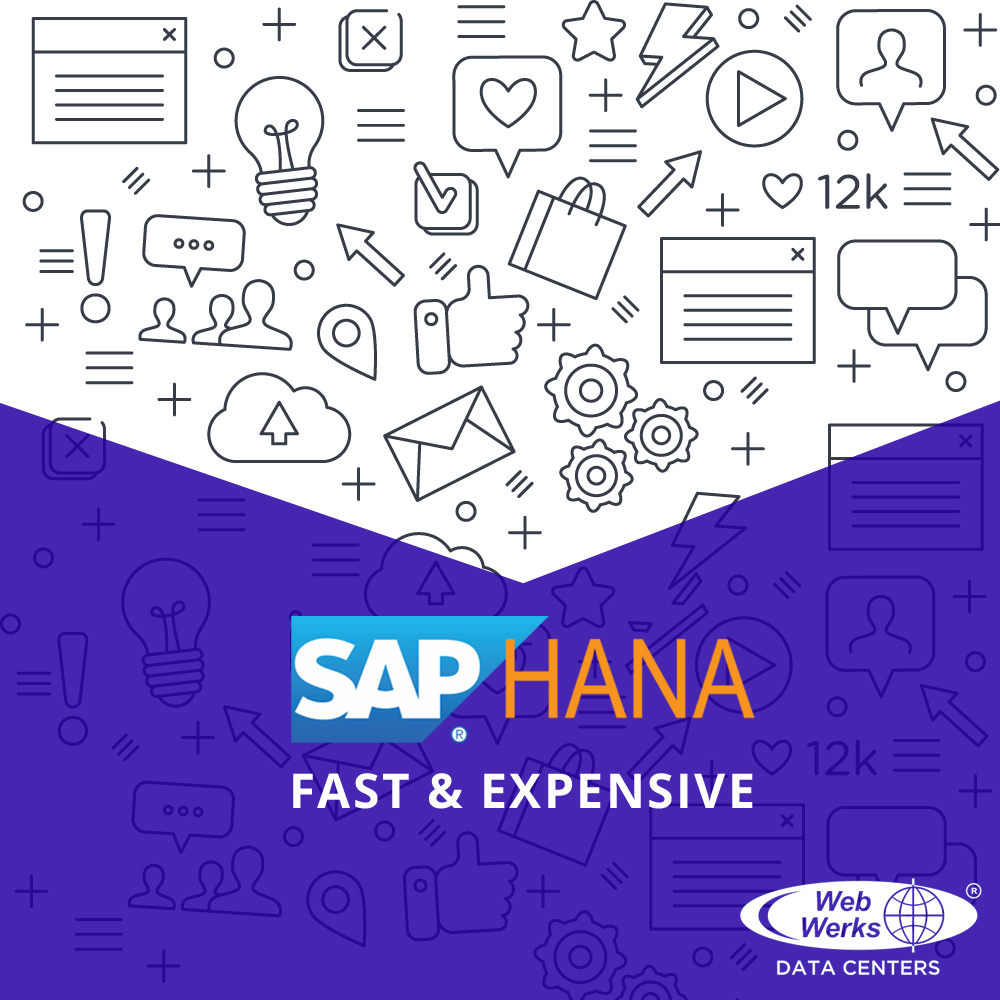 SAP HANA - Fast & Expensive