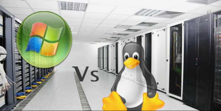 Linux VPS Hosting and Windows VPS Comparison